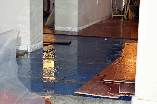 Professional Water Damage Restoration technician working in Jermyn, TX