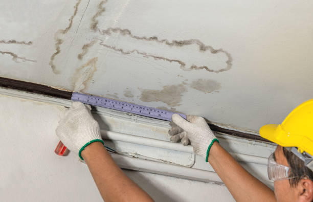 Reliable Water Damage Restoration contractor in Jermyn, TX by Water Damage Irwin